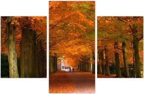 Tablou - Bulevardul de copaci în toamnă (90x60 cm)