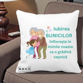 Cadou pentru Bunici - Perna Personalizata Bunicii Iubirea Infloreste cu Nepoata Teal, 40x40 cm, Alba Mata, Husa Detasabila, Perna Inclusa, BEKZ®