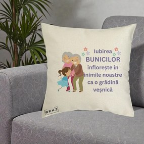 Cadou pentru Bunici - Perna Personalizata Bunicii Iubirea Infloreste Bunici cu Nepoata Colorat, 40x40 cm, Ecru, Husa Detasabila, Perna Inclusa, BEKZ®