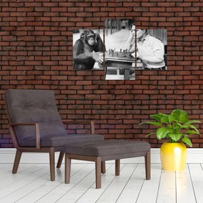 Tablou - Circ 2 (90x60 cm)