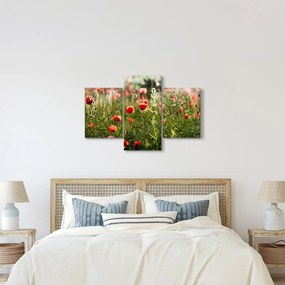 Tablou cu maci (90x60 cm)