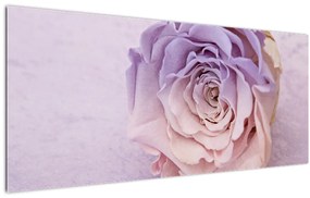 Tablou detaliu florii de trandafir (120x50 cm)