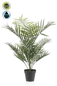 Plante de exterior - Palmier Areca - 90 cm