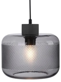 Lustră pe cablu Paul Neuhaus 2005-25 BOLETUS 1xE27/10W/230V d. 23,5 cm gri