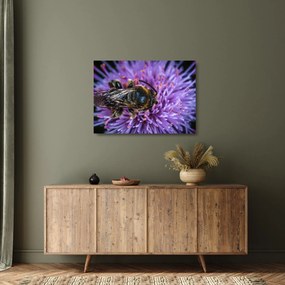 Tablou pe sticlă cu albina pe floare (70x50 cm)