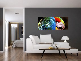 Tablou - Papagal (120x50 cm)