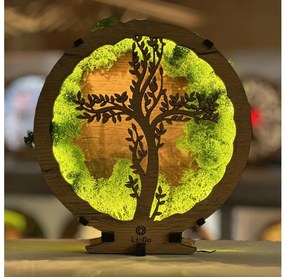 Li-Go 23622/DUB2 - Decorațiune LED de masă reglabilă LED/12W/230V 20x22 cm stejar