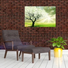 Tablou cu copaci pe luncă (90x60 cm)