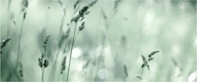 Tablou - Pajiște verde (120x50 cm)