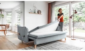 Canapea gri deschis extensibilă 225 cm Charming Charlie – Miuform