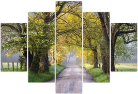 Tablou - Smoky Mountains, Gatlinburg, SUA (150x105 cm)