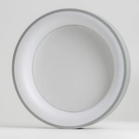 Plafonieră LED dimabilă LED/40W/230V 3000-6500K gri Brilagi + telecomandă