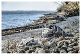 Prosop crem din bumbac 70x140 cm Inu – Zone