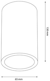 Spot de exterior ATLANTA 1xGU10/10W/230V IP54