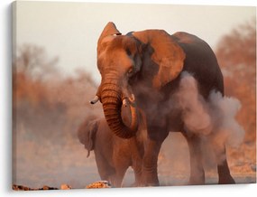 Tablou - Marele elefant african (70x50 cm)