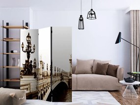Paravan - Alexander III Bridge, Paris [Room Dividers]