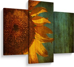 Tablou - Floarea soarelui (90x60 cm)