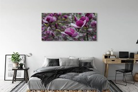 Tablouri canvas magnolie violet