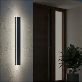 Aplica LED de exterior MIRANA LED/12W/230V 4000K IP44 60 cm neagră