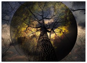 Tablou - Cerul enigmatic (70x50 cm)