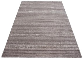 Covor bej 120x170 cm Plus – Ayyildiz Carpets