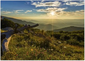 Tablou - Priveliștea (70x50 cm)