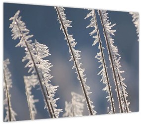 Tablou - Îngheț (70x50 cm)