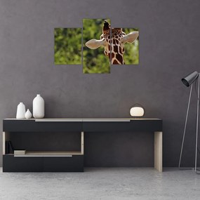Tablou cu girafă din spate (90x60 cm)