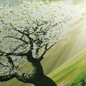 Tablou cu copaci pe luncă (cu ceas) (90x30 cm)