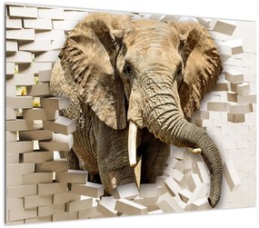 Tablou pe sticlă - Elefant spârgând peretele (70x50 cm)