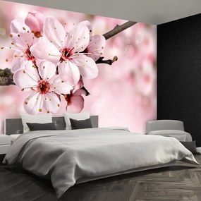 Fototapet Floare roz