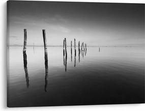 Tablou cu nivelul de lac alb negru (70x50 cm)