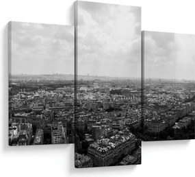 Tablou - Acoperișuri clădirilor din Paris (90x60 cm)
