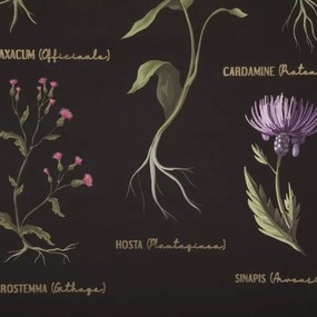 Canvas Botanical 50 x 70 cm