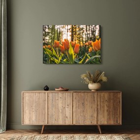 Tablou - florile lalelelor (90x60 cm)
