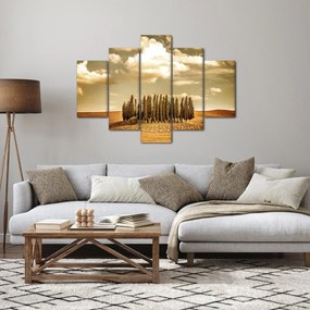 Tablou cu luncă (150x105 cm)