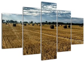 Tablou cu câmp recoltat (150x105 cm)