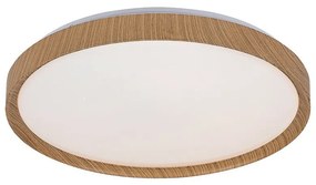 Plafonieră LED Rabalux 3500 Sherwood