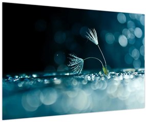 Tablou - Macro (90x60 cm)