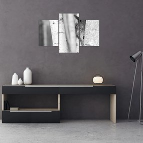 Tablou - Lupul din pădure (90x60 cm)