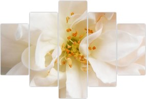 Tablou - Floare (150x105 cm)