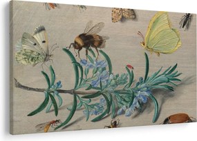 Tablou - Jan van Kessel the Elder, Insects and a Sprig of Rosemary, reproducere (90x60 cm)