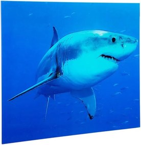 Tablou decorativ imagine imprimata pe sticla, Shark 60x80cm A-37414 VC