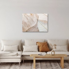 Tablou - Frunze bej (70x50 cm)