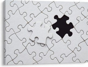 Tablou cu puzzle (70x50 cm)
