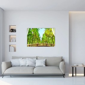 Tablou - Privire spre pădure (90x60 cm)