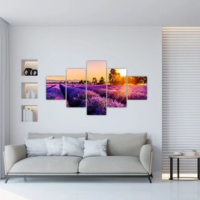 Tablou cu câmp de lavanda (125x70 cm), în 40 de alte dimensiuni noi