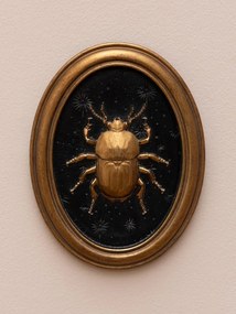 Set 4 tablouri polyrasina cu insecte " Entomology "