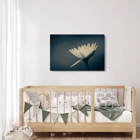 Tablou cu flori (90x60 cm)