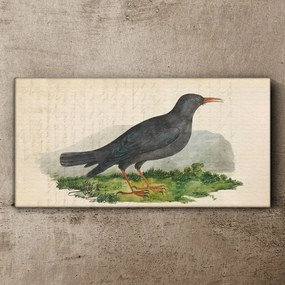 Tablou canvas Păsări Animale
